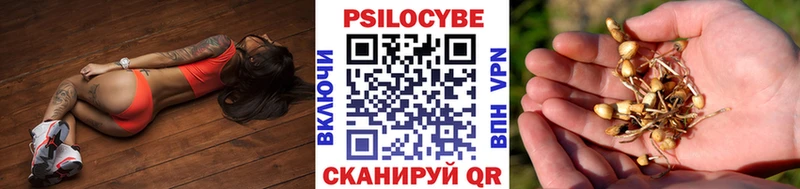 Псилоцибиновые грибы ЛСД  где можно купить наркотик  KRAKEN ССЫЛКА  Муром 